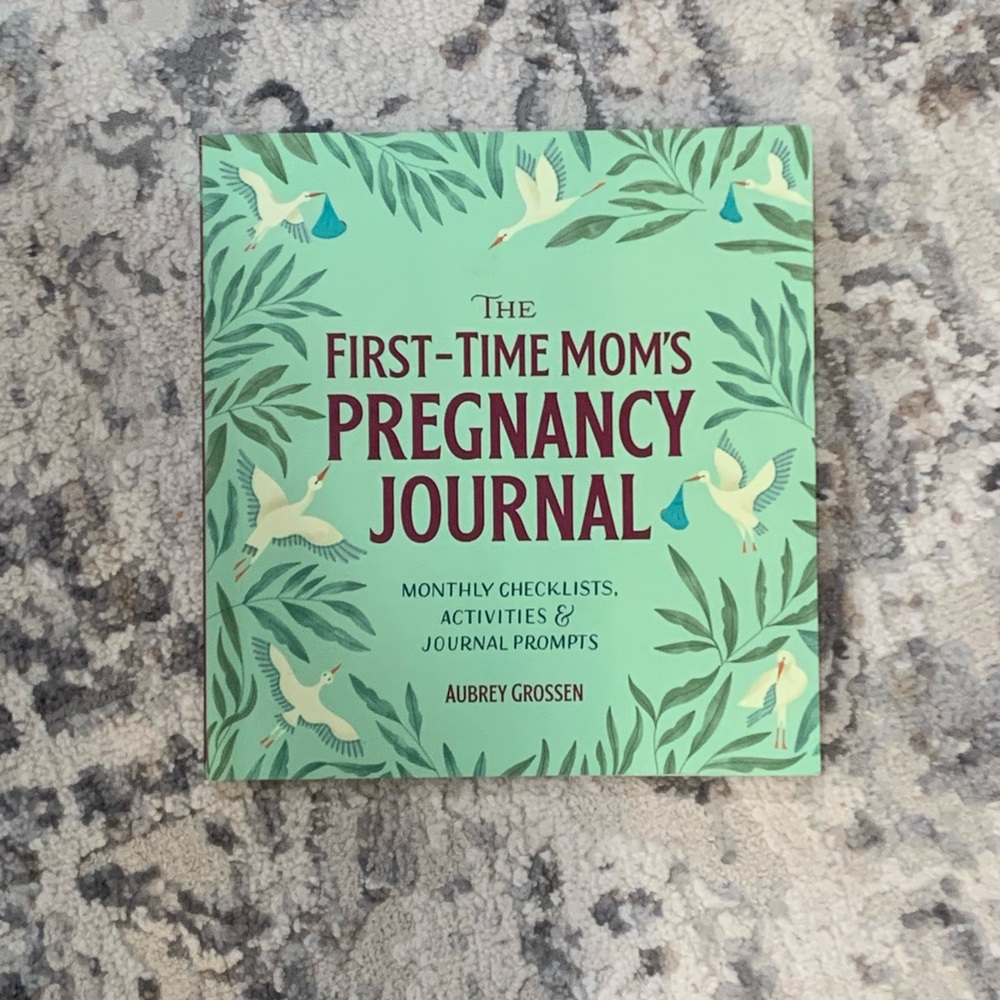 ⭐️NEW⭐️ The First-Time Moms Pregnancy Journal